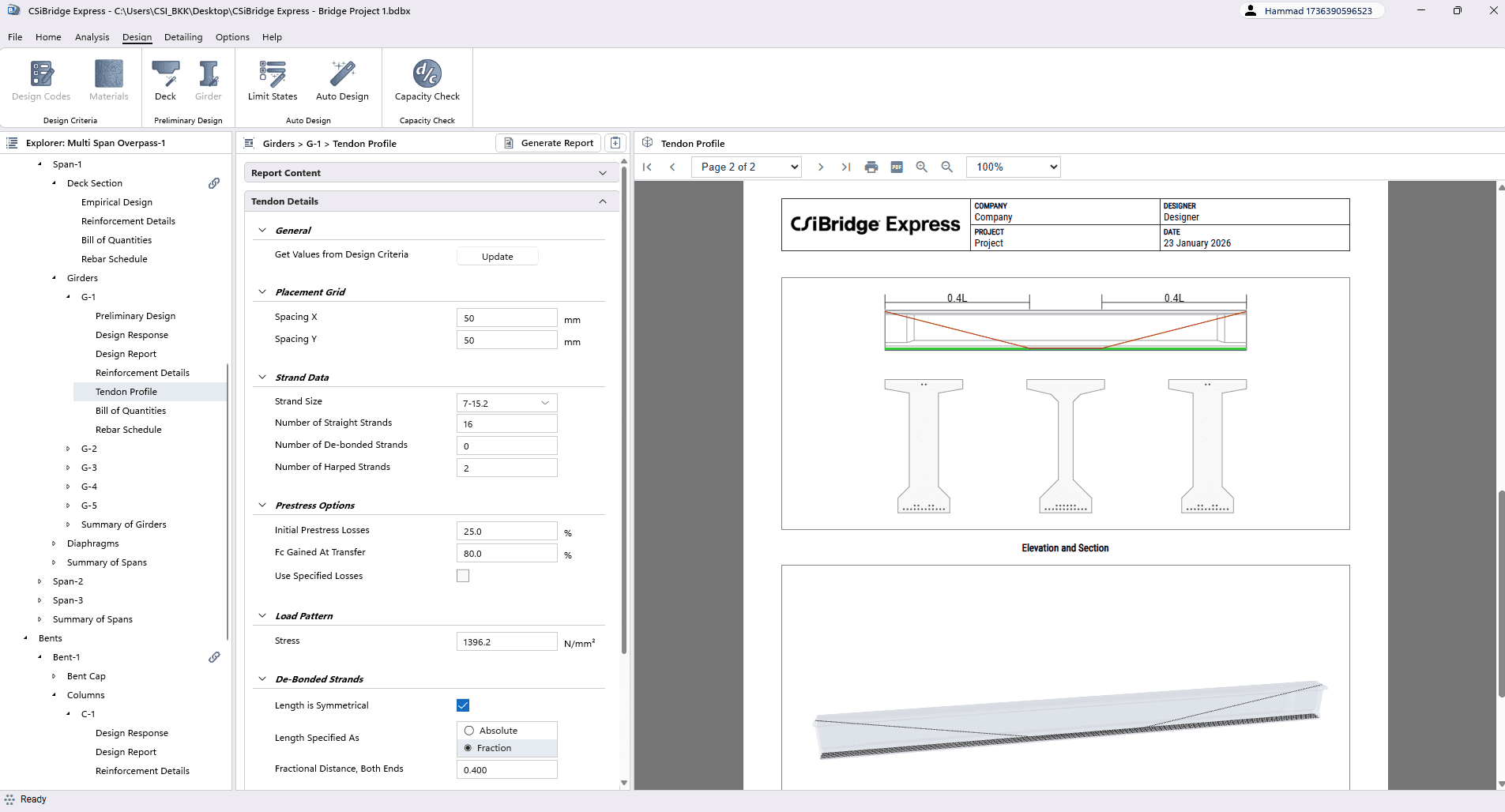 Tendon Profile Detailing